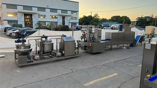 孟加拉国的客户-功能性软糖生产线